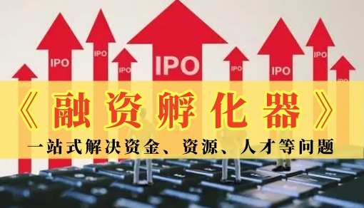 《融资孵化器》咨询